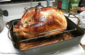 rene schweitzke thanksgiving2 turkey